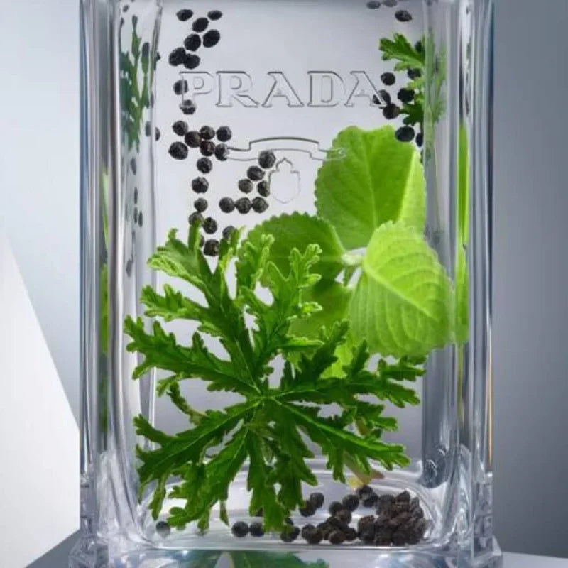 Perfume Prada L’Homme EDT
