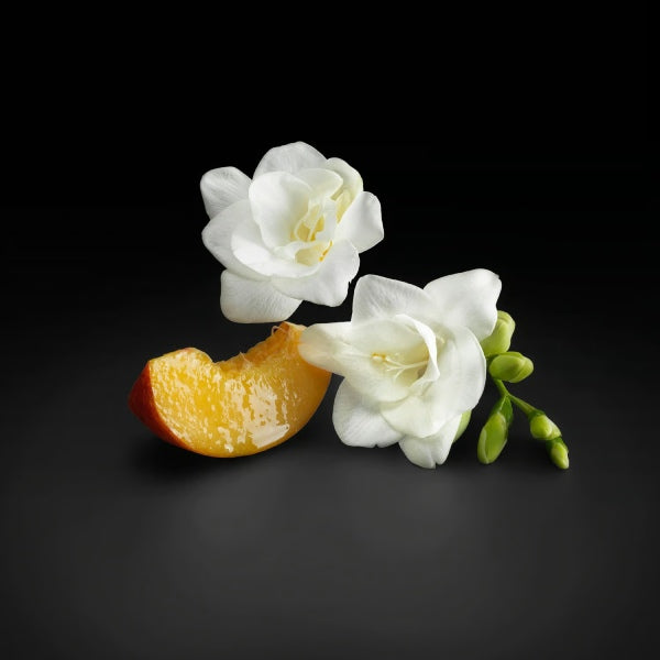 Perfume Hugo Boss The Scent For Her EDP