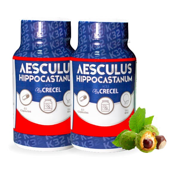 Castaño de Indias K32 - Aesculus Hippocastanum