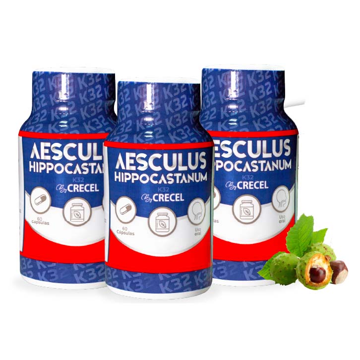 Castaño de Indias K32 - Aesculus Hippocastanum