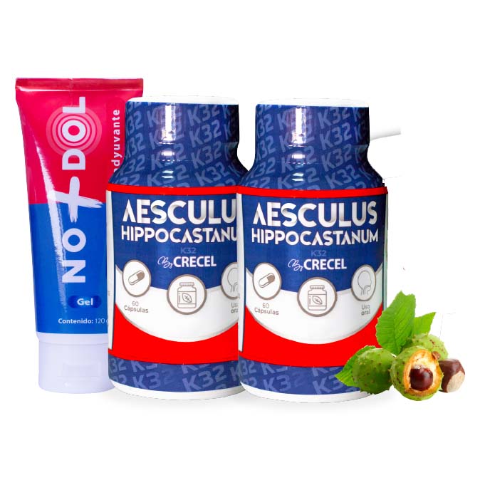 Castaño de Indias K32 - Aesculus Hippocastanum